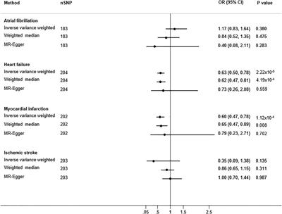 Evidence of a Causal Link Between the Well-Being Spectrum and the Risk of Myocardial Infarction: A Mendelian Randomization Study